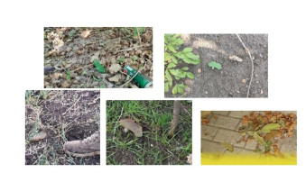 Взрывоопасные предметы Взрывоопасные предметы.