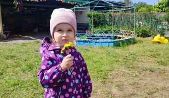 День одуванчика День одуванчика.