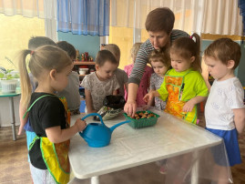 Что за чудо, вот так класс на подоконнике у нас.. Что за чудо, вот так класс на подоконнике у нас.