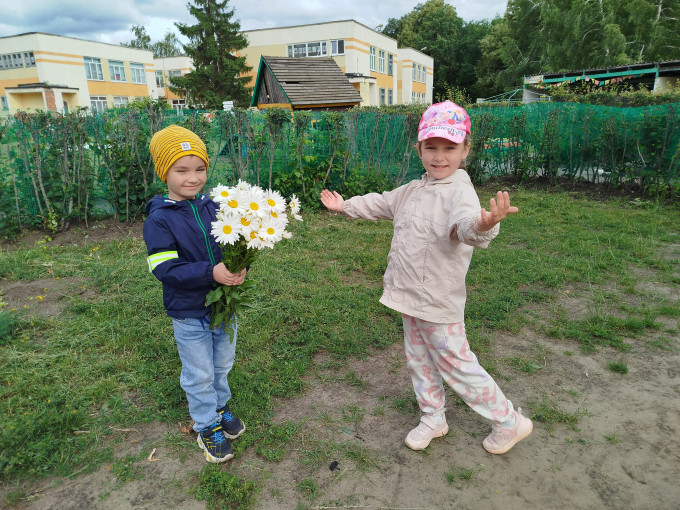 День ромашки День ромашки.